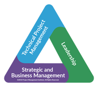 pmi-triangle-transparent.png